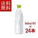 ���E��E�́E�� ���x�����X 560ml PET 1�P�[�X�i24�{�j�Z�b�g�m����͂� �R�J�E�R�[�� �� �n
