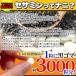 ���Z�T�~�� �{ �X�^�~�i �T�v�� ��4������ 120�� �X�b�|�� �c�o���̑��G�L�X �}�J �Z�T�~�� �T�v�������g ���[ �֘A�摜5