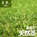 [ all goods P5 times 4/27] artificial lawn roll 2m×5m lawn grass height 20mm diy lawn grass raw mat modern deco 