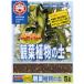  декоративное растение. земля 5L день Kiyoshi коммерческое предприятие 