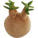 BIBIPLANTS( Bb растения ) растения мягкая игрушка подушка pakipotiumLPG-NP102 мягкая игрушка подушка 