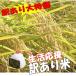 訳あり 新潟県産 中米 コシヒカリ 10kg 平成28年産 EM農法