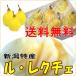  Niigata Special производство груша обыкновенная . река сельское хозяйство .rurek che 2 kilo (5~6 шар входить ) eko упаковка ( дом для ). мир 7 год производство 11/25 отправка начало 