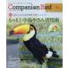  сопровождение bird птица ... легко удобно ... поэтому. информация журнал No.29 более! маленькая птица . san практическое применение .