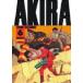 Akira Part6 золотой рисовое поле большой .../ работа 