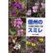  Shinshu. s Mille сейчас .../ вместе работа . восток ../ вместе работа 