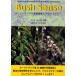 Bush Sense Австралия. аромат растения . aroma Sera pi- Mark *A. web / работа Kato иметь ./ перевод старый река ../..