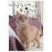  смотреть только ... стать [ покрывало * Cat's tsu] NHK драма 10[ покрывало * Cat's tsu] произведение команда / работа "Остров сокровищ" литература редактирование часть / работа 