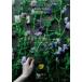 ma low. цветок урок цветок выбор / цветок украшение / цветок ..Decorate Your Daily Life with Flowers. камень ../ работа 