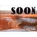 SOON�@�X�̋���ڎw���V���N�}�@Akiya�@Tamba/���E�ʐ^