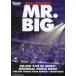 ALL ABOUT MR.BIG