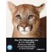 Mac OS10 Mountain Lion super manual Fuji soft / работа 