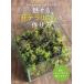  очарован мох террариум. конструкция person часть магазин .... маленький мох. лес камень река Британия произведение / работа 