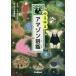 yu... Amazon иллюстрированная книга .. .../... сейчас Izumi . Akira /..