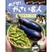 me..!... эксперт ...... Satsuma ...3edamame*nas река ../.. Kato подлинный . прекрасный / руководство длина плата большой / руководство 
