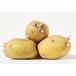  seed tuber potato in ka. ... Hokkaido production 2kg regular goods S M L in ka. eyes .... corm popular 