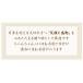 �S�� ���j�� �v���[���g �a���� 100�� ���� �ʂ������ ����񂿂�� ���ۂ� �R�b�v ������ �� ���� ���p�I �h�J �h���イ ���� �M�t�g�{�b�N�X �c�� �c�� �֘A�摜1