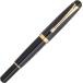 Photo of Fountain Calligraphy Pen Yume Ginga Blue Repadoai Medium