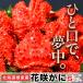  время ограничено! цветок ...2 kilo комплект | Hokkaido корень . производство <4~5 хвост *.. вверх . наклон прямая поставка > бесплатная доставка Hokkaido производство . толщина Boyle завершено подарок на Bon Festival подарок по случаю конца года краб цветок ..