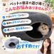�y�b�g�x�b�h �L �N�b�V���� �� �\�t�@ �~�p �h�[���^ �L���b�g�n�E�X �g���l�� �L�n�E�X �˂��͂��� �h�[�i�c�^ �Q�� �p�i �T�[�N�� �������� �֘A�摜3