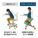 �o�����X�`�F�A �p�����ǂ��Ȃ�֎q �p������ �֎q �q�� �C�X �w�K�֎q �w�K�`�F�A �׋��֎q �v���|�[�V�����`�F�A �L�w �T�|�[�g �֘A�摜5