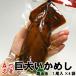  huge ikameshi forest block soy sauce taste 1 tail go in ×4 sack go in free shipping Hinamatsuri new life White Day 