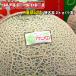  Asahi дыня super товар и больше очень большой шар 2kg бесплатная доставка Okinawa. доставка отдельно . прибавление подарок День отца подарок на Bon Festival кемпинг 