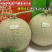  Asahi дыня super товар и больше очень большой шар 2kg 2 шар комплект бесплатная доставка Okinawa. доставка отдельно . прибавление подарок День отца подарок на Bon Festival кемпинг 