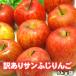 サンふじ りんご 訳あり 送料無料 10kg詰沖縄別途送料加算 サンフジ　セール
