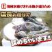 �N�����}���Ⓚ�k�C����������5kg�������� �֘A�摜5