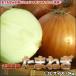  лук репчатый бесплатная доставка 10kg шар лук порей лук tama лук-батун Hokkaido производство L-2L размер Okinawa доставка отдельно . прибавление 