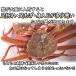 �󂠂� ���I�I�Y���C�K�j  ���T�C�Y 2kg�l �������� ������ʓr�������Z �g����7���O�� �֘A�摜5