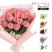 ���� ��|���[�� �|�s�[ ����L�b�g �J���[���[�� ���� DIY���蕨 �`���[���b�v 200�{���� �t�����[���[���ޗ� �ԑ� ��|�ޗ��Z�b�g �H��