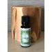 �X�Ђΐ����@20ml �~ 2�{