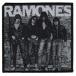 RAMONES*lamo-nz*RAMONES 76 вышивка нашивка вышивка patch нашивка 