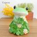 Copeau(ko Poe )ko Poe Mini сад Lucky clover . лягушка 72617... лягушка copeau смешанные товары орнамент украшение мелкие вещи сад миниатюра da кальмар i