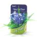  Tetra leaf план toLP-10