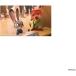 sinema коллекция стикер Zoo to Piaa коврик модель смартфон аксессуары PGA PG-DSTK63ZTP