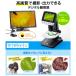 ¨���в� ����Բ� ������ �ǥ����� ��� �����֤��� ������Ψ500�� LED�饤�� �վ���˥� ���� HDMI�������ϲ�ǽ �ե�HDư�軣�Ʋ�ǽ ����掠�ץ饤LPE-06BK