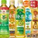 �������� �T���g���[ �ɉE�q�� W�̂͂��炫 �������������΍� 500mlPET�~24�{������ �Β� �ق����� �W���X�~���� �J�t�F�C���[�� 500mlPET�~24�{ �v48�{ �v2�c