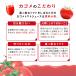 �J�S�� �g�}�g�W���[�X �H�����Y�� 720ml �X�}�[�g PET �~ 30�{  [15�{�~2��] �y1�`2�c�Ɠ��ȓ��ɏo�ׁz  [��������]  �@�\���\���H�i �֘A�摜1