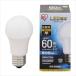 LED�ŵ� E26 ���۸� 60������ ���� LDA7N-G-6T5 567947 1Ȣ �����ꥹ�������