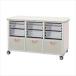  working bench WT-1525B-1 body :pi-chi cabinet 6×4 system 25-2310-00W1500×D748×H862mm transparent (WT-1525B-1)(25-2310-