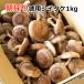  morning .. less selection another raw shiitake 1kg free shipping [ raw shiitake / raw ../ original domestic production / morning ../ pesticide un- use ]