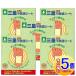 �y5�Z�b�g�z�O�c ���t�s�v�c�V�[�g �����^�b�`��̌^(3.4gx30����)�y���^��z�ցz