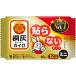  Kobayashi производства лекарство *. пепел Кайро .. нет новый рука утеплитель Mini 10 шт [RCP] [ Hokkaido * Okinawa. доставка отдельно необходимо ]