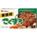 [20 шт ] house gya van акционерное общество для бизнеса .... карри средний .1kg×20 коробка комплект ( до отправки 7-10 день требуется )[ отмена не возможно ][[RCP]