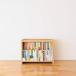  чёрный кошка. книжный шкаф STACKING SHELF REGULAR / BIBLIOPHILIC / диск Union DISK UNION