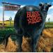͢ BLINK 182 / DUDE RANCH [CD]