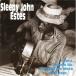  зарубежная запись SLEEPY JOHN ESTES / I AIN*TGONNA BE WORRIED NO MORE 1929-1941 [CD]
